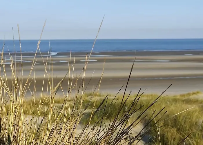 Pilets De La Baie D\'Authie